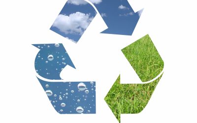 Always Green Always Clean Supports America Recycles Day